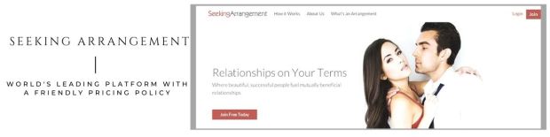 Seeking Arrangement