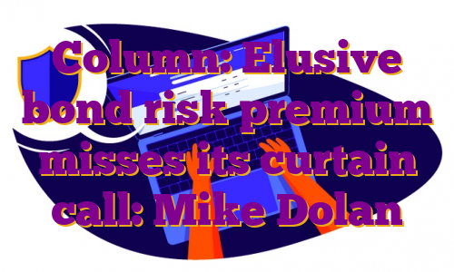 Column: Elusive bond risk premium misses its curtain call: Mike Dolan