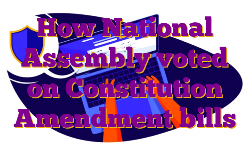How National Assembly voted on Constitution Amendment bills