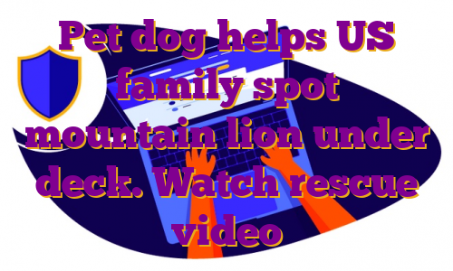 Pet dog helps US family spot mountain lion under deck. Watch rescue video