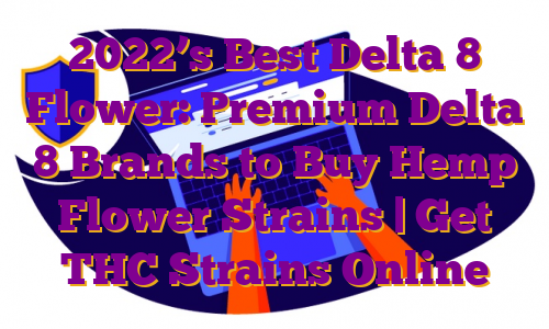 2022’s Best Delta 8 Flower: Premium Delta 8 Brands to Buy Hemp Flower Strains | Get THC Strains Online