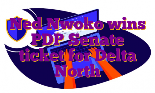 Ned Nwoko wins PDP Senate ticket for Delta North