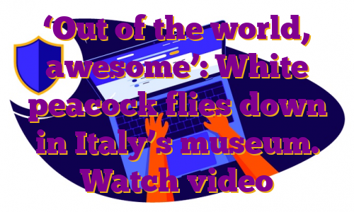 ‘Out of the world, awesome’: White peacock flies down in Italy’s museum. Watch video