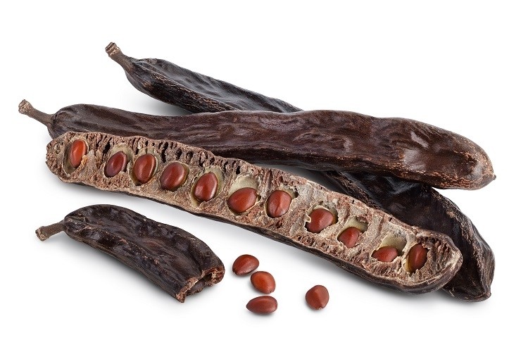carob kolesnikovserg