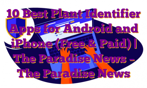 10 Best Plant Identifier Apps for Android and iPhone (Free & Paid) | The Paradise News – The Paradise News