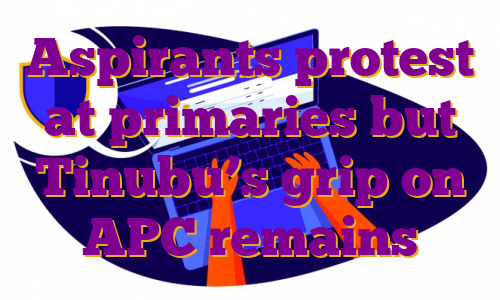 Aspirants protest at primaries but Tinubu’s grip on APC remains