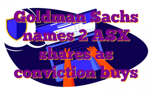 Goldman Sachs names 2 ASX shares as conviction buys