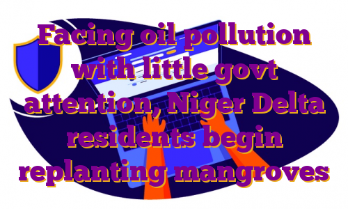 Facing oil pollution with little govt attention, Niger Delta residents begin replanting mangroves