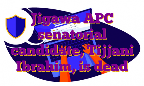 Jigawa APC senatorial candidate, Tijjani Ibrahim, is dead