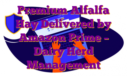 Premium Alfalfa Hay Delivered by Amazon Prime – Dairy Herd Management
