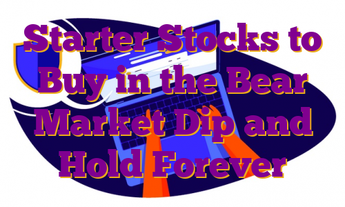 Starter Stocks to Buy in the Bear Market Dip and Hold Forever