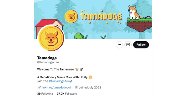 Tamadoge takes the meme coin concept up a notch using NFT, metaverse, and play-to-earn integrations.