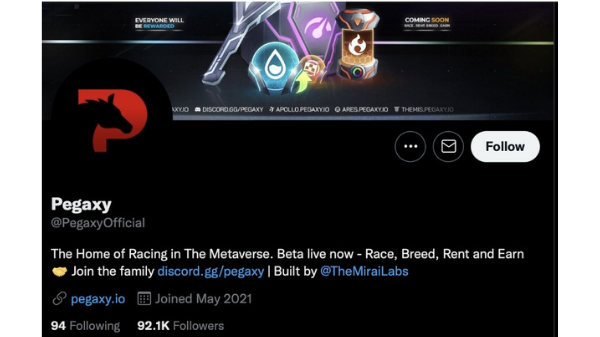 Pegaxy is one of the most popular horse racing games in the NFT space.