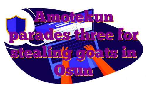 Amotekun parades three for stealing goats in Osun