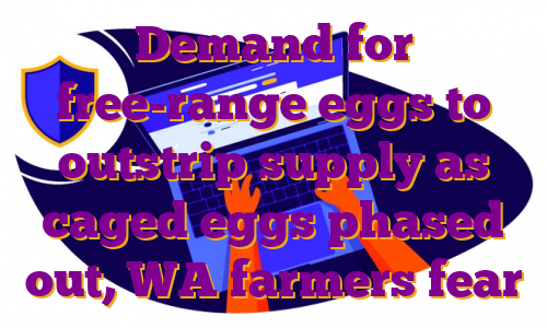 Demand for free-range eggs to outstrip supply as caged eggs phased out, WA farmers fear