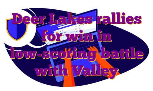 Deer Lakes rallies for win in low-scoring battle with Valley